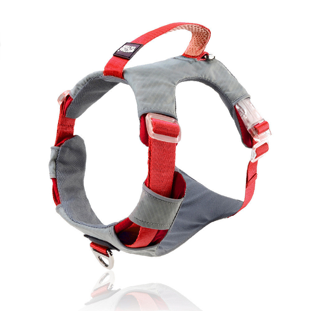 Heavy Duty Pet Chest Strap Leash Storage Control Set