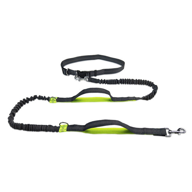 Adjustable Pet Harness Collar Jogging Control Leash
