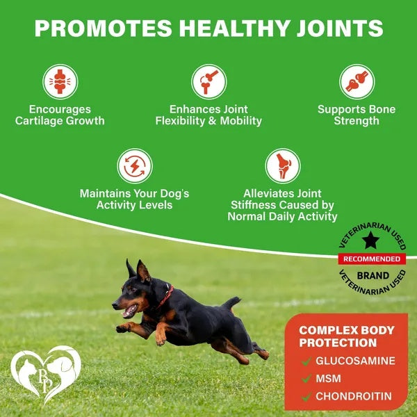Hip And Joint Support Soft Chews Supplement