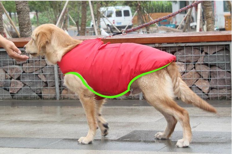 Winter Cotton Pet Coat Warm Outdoor Clothing