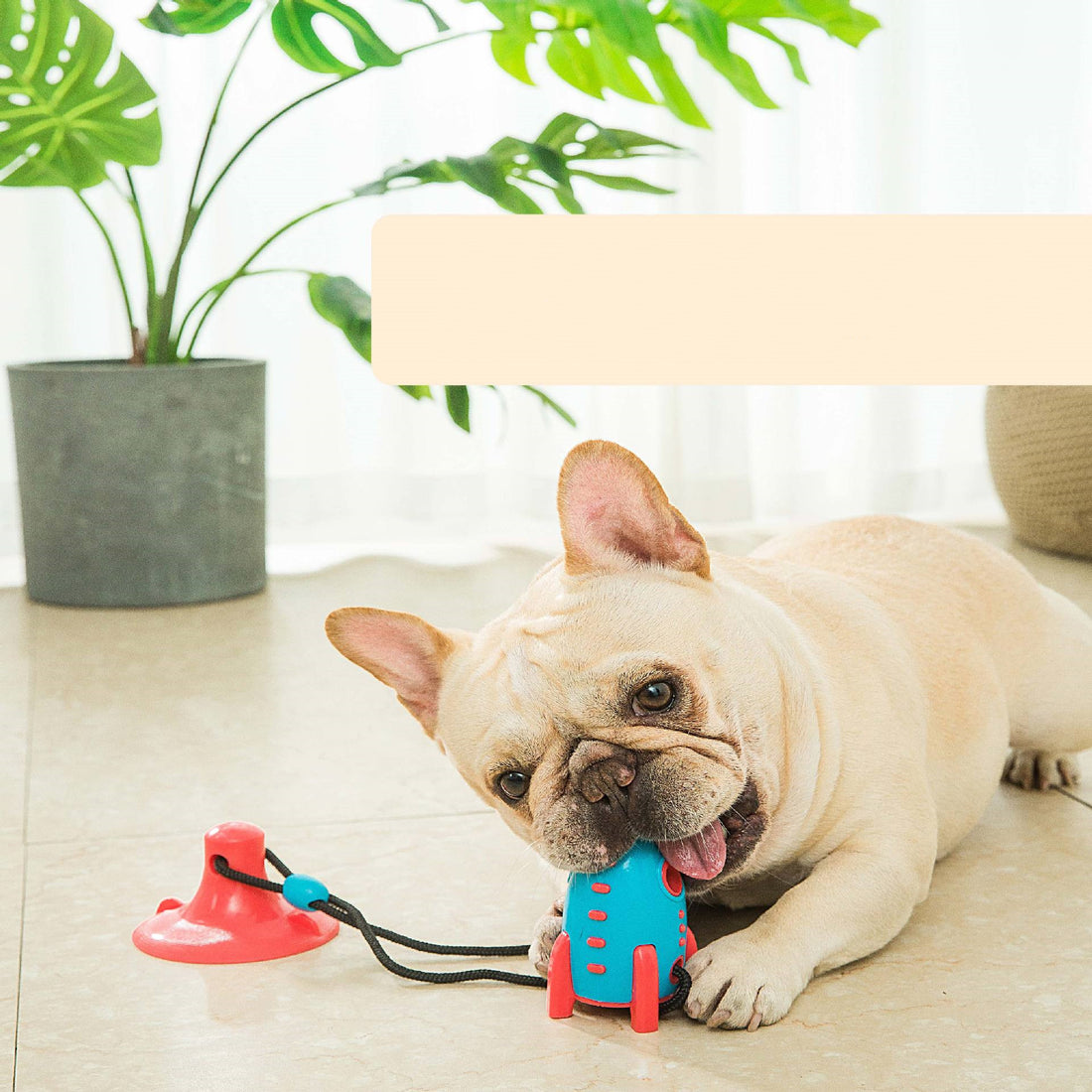Pet Rocket Treat Dispenser Bite Resistant Chew Toy