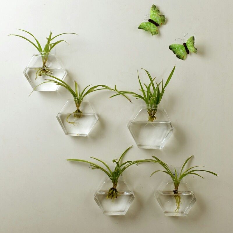 Wall Mounted Fish Tank