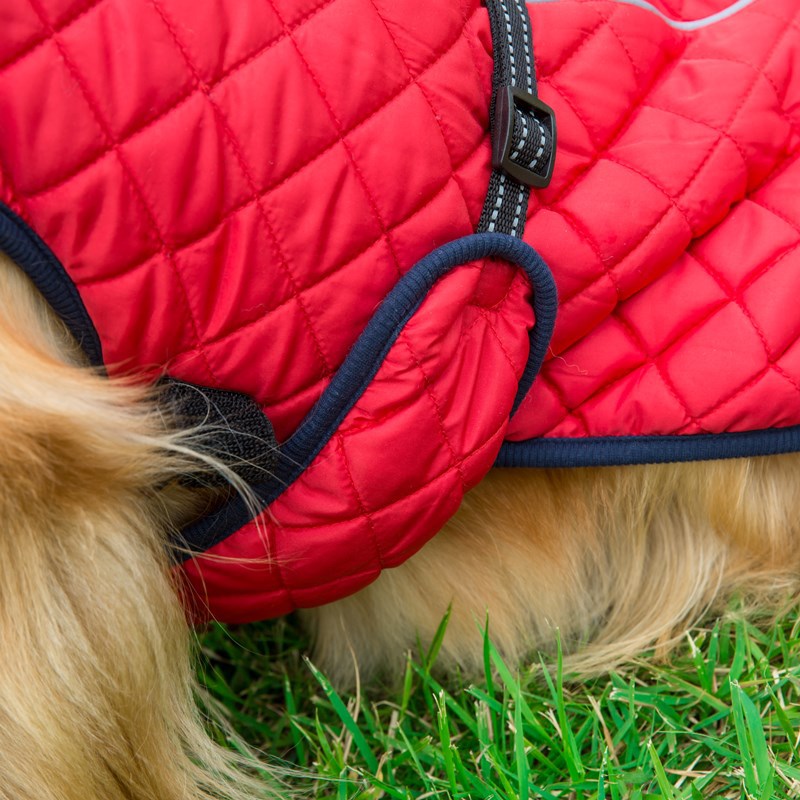 Adjustable Warm Cotton Pet Jacket Comfortable Outdoor Wear