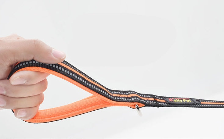 Nylon Pet Retractable Assisted Control Leash