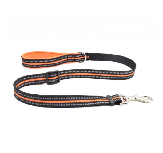 Nylon Pet Retractable Assisted Control Leash