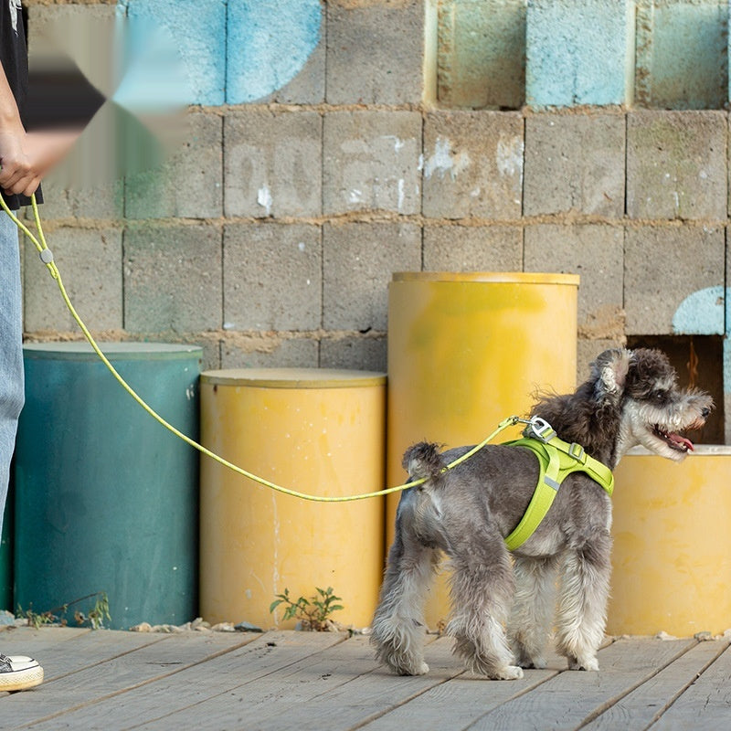 Colorful Adjustable Sliding Pet Leash Durable Walking Rope