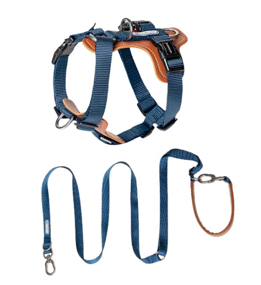 Multifunctional Pet Rope Leash Chest Strap Control Set