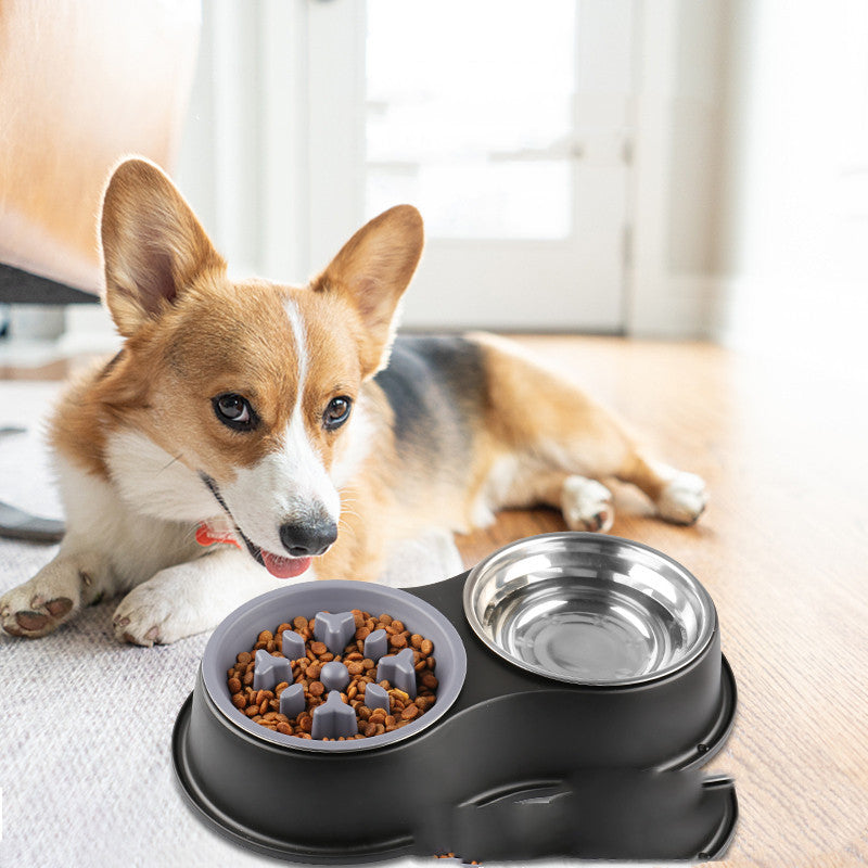 Removable Pet Slow Feeding Bowl Anti Gulp Design