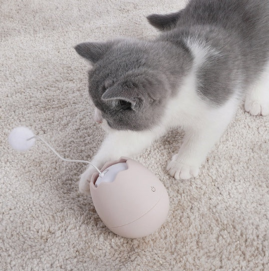 Funny Pet Interactive Play Artifact Toy