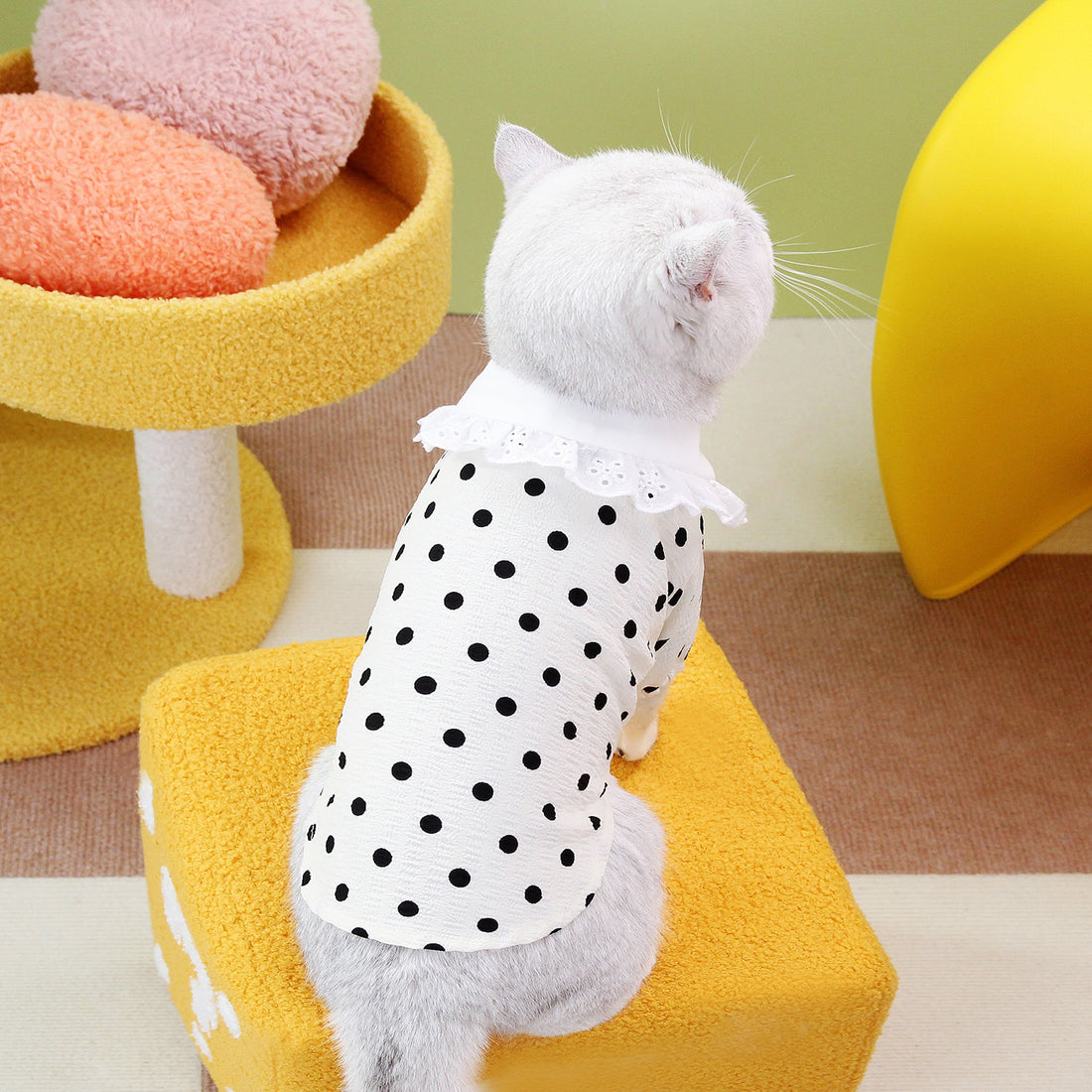 Pet Blue Ragdoll Style T-Shirt Apparel