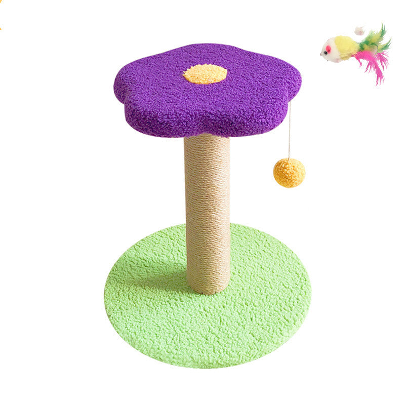 Pet Claw Grinding Interactive Teasing Play Toy