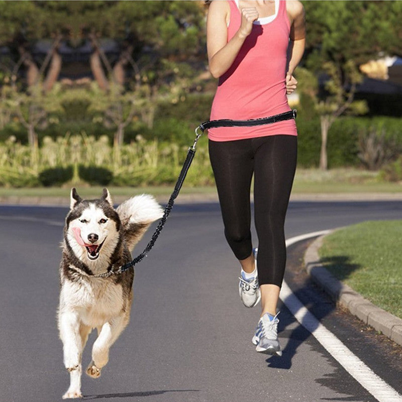 Adjustable Pet Harness Collar Jogging Control Leash