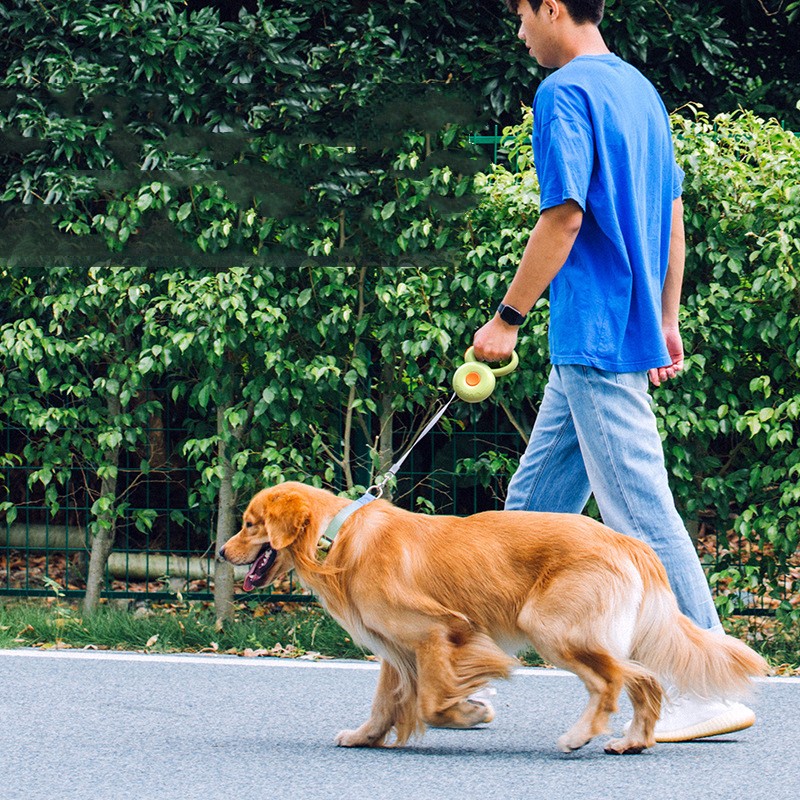 Retractable Reflective Pet Control Leash Rope