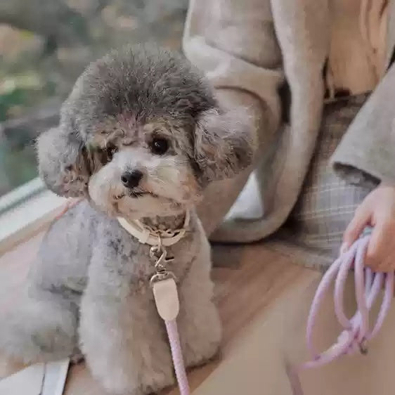 Leather Pet Collar Handheld Rope Control Leash