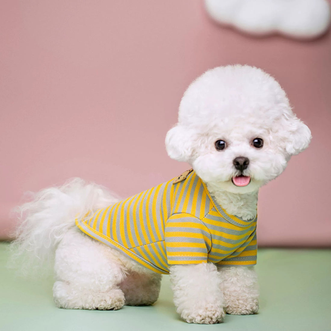 Breathable Summer Pet T-Shirt Lightweight Outdoor Wear