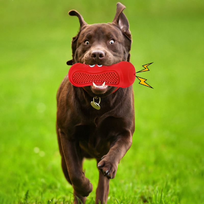 Vocal Rugby Pet Toy Natural Rubber Teething Chew Toy
