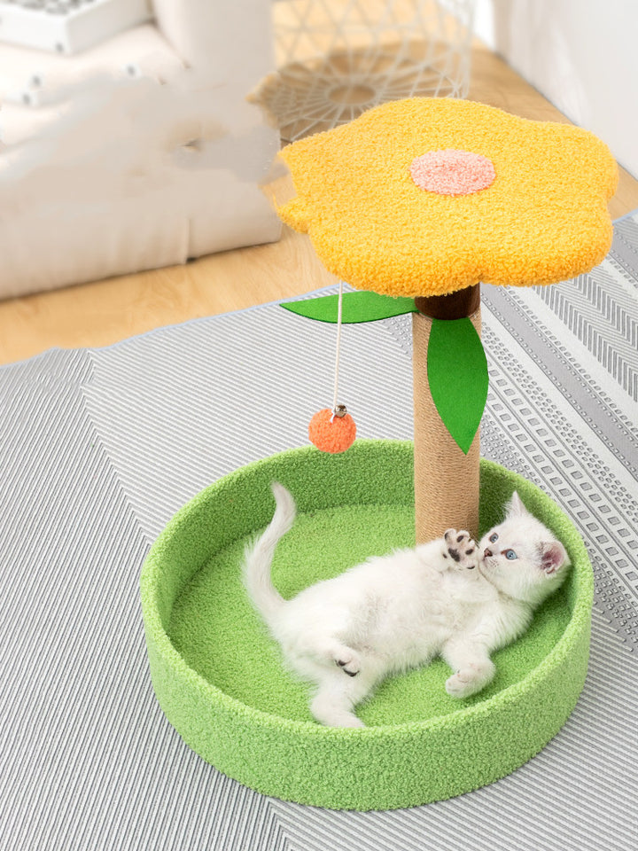 Pet Claw Grinding Interactive Teasing Play Toy