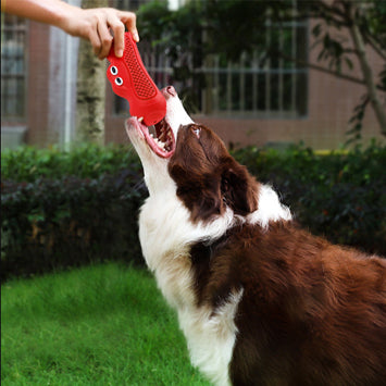 Vocal Rugby Pet Toy Natural Rubber Teething Chew Toy