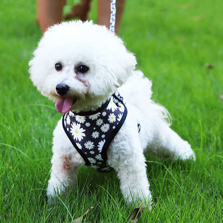Breathable Pet Harness Leash Control Set