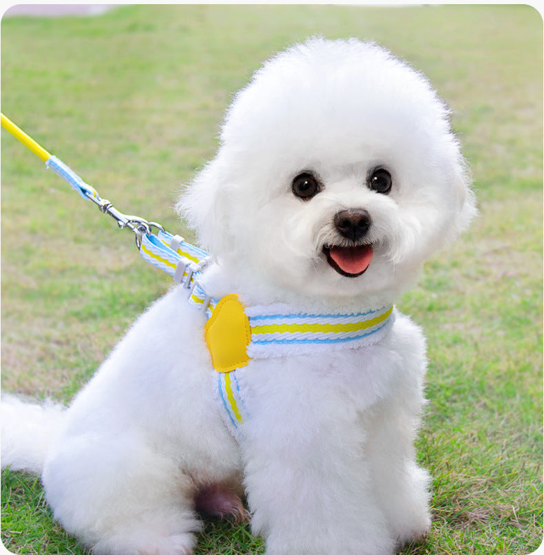 Breathable Pet Chest Vest Walking Leash Harness Set