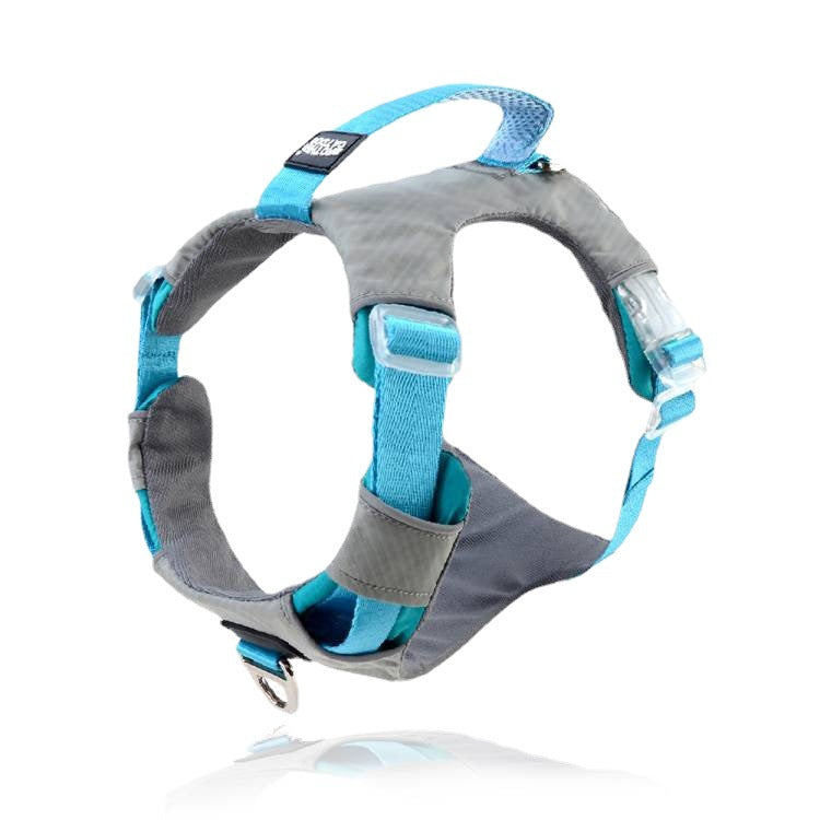 Heavy Duty Pet Chest Strap Leash Storage Control Set