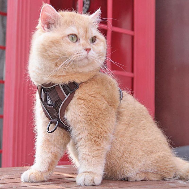 Pet Harness Vest Chest Strap With Control Leash Set