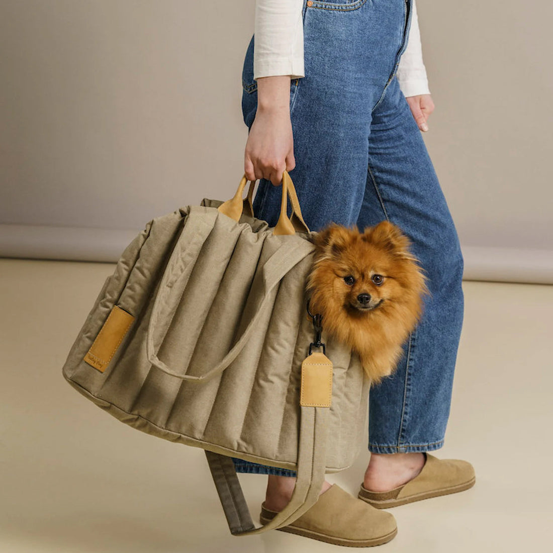 Light Waterproof Pet Carrier Handbag Fashion Travel Bag