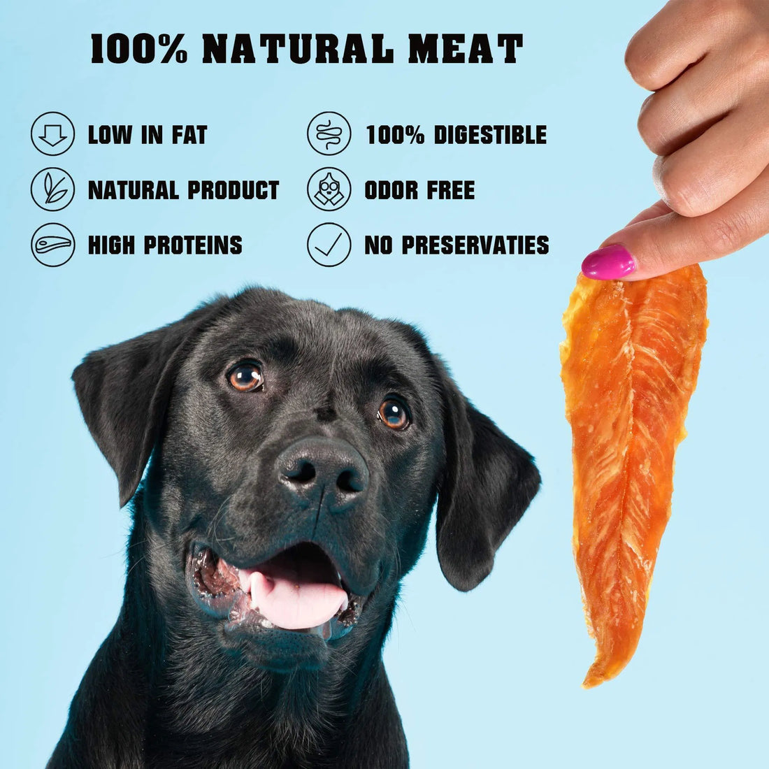 Grain Free Chicken Jerky Training Treats 1.5Lb, 24 oz
