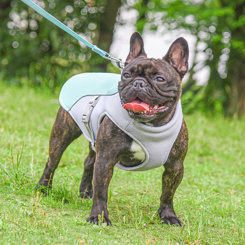 Breathable Cooling Pet Vest For Summer Outdoor Use