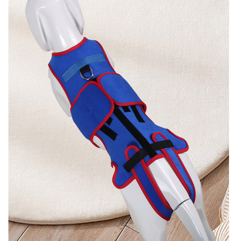 Pet Spine Support Jacket Prevents Hunching Posture Correction