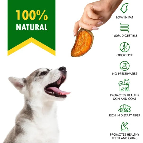 Sweet Potato Chips Treats For Dogs 10.6 Oz