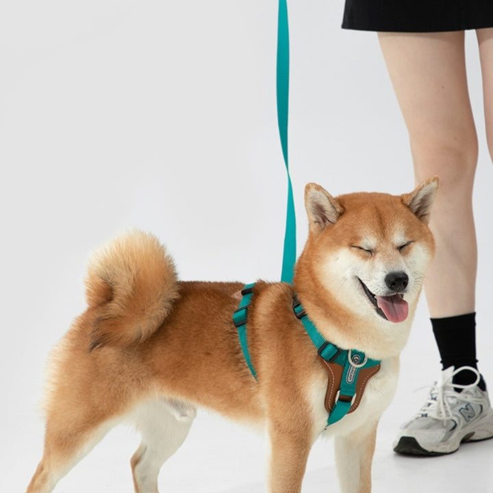 Multifunctional Pet Rope Leash Chest Strap Control Set