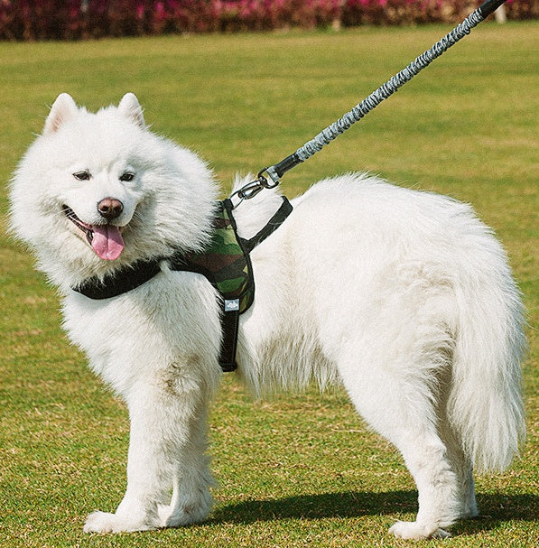 Pet Chest Harness With Leash Adjustable Control Set