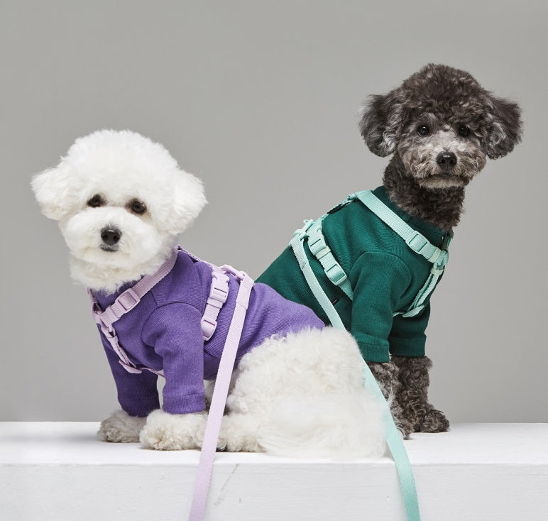 Macaron Style Pet Fashion Control Leash Rope