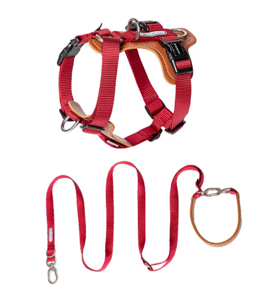 Multifunctional Pet Rope Leash Chest Strap Control Set