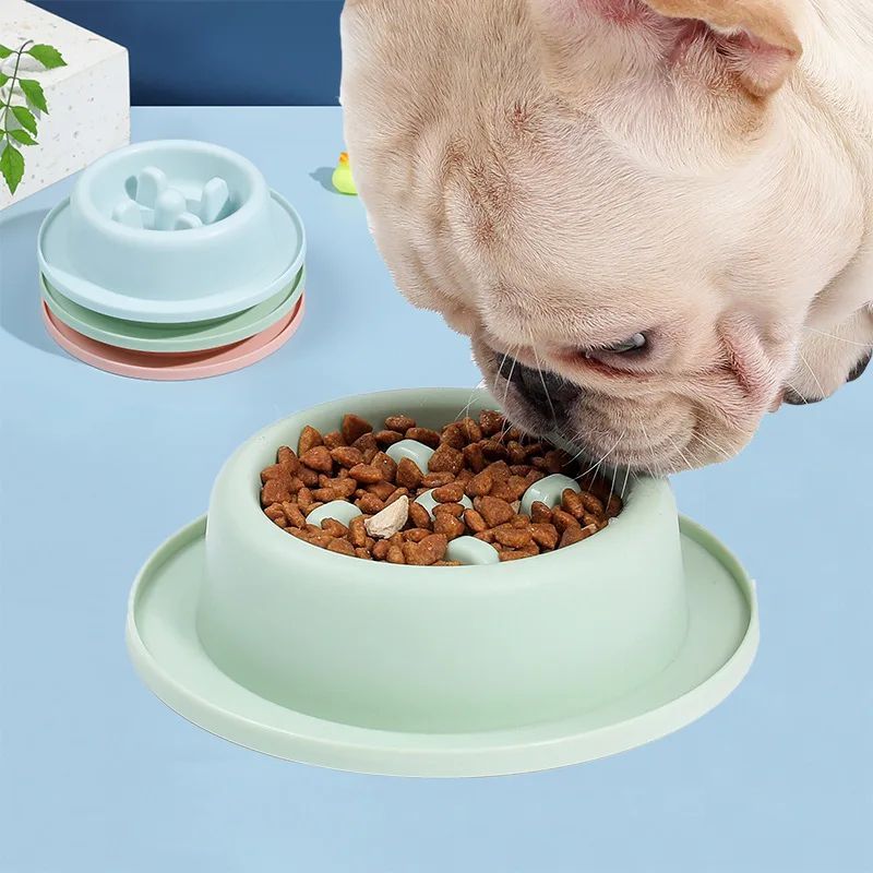 Pet Slow Eating Anti Choking Interactive Feeding Bowl