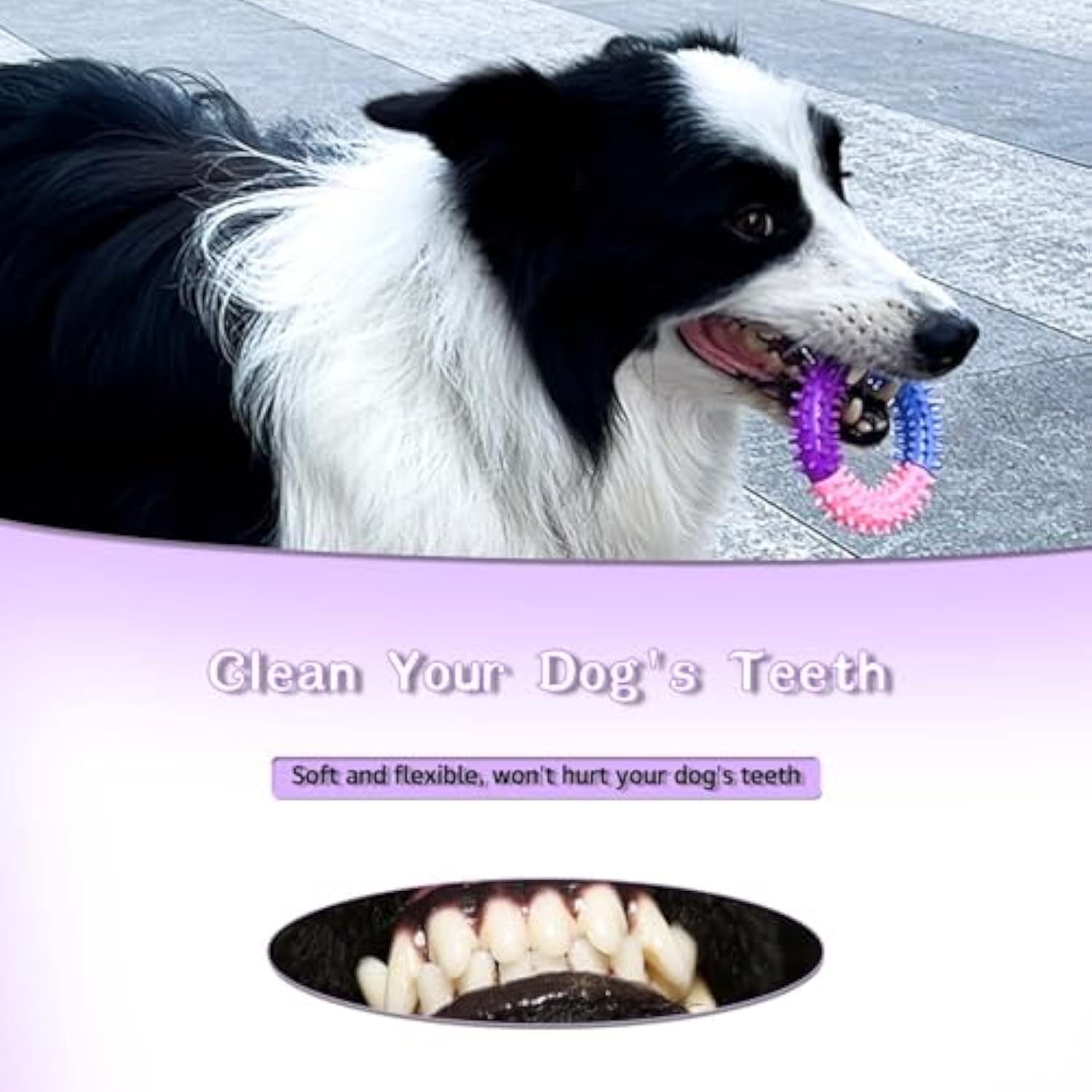 Pet Rubber Chew Ring Teething Interactive Toy