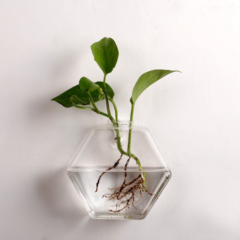 Wall Mounted Fish Tank