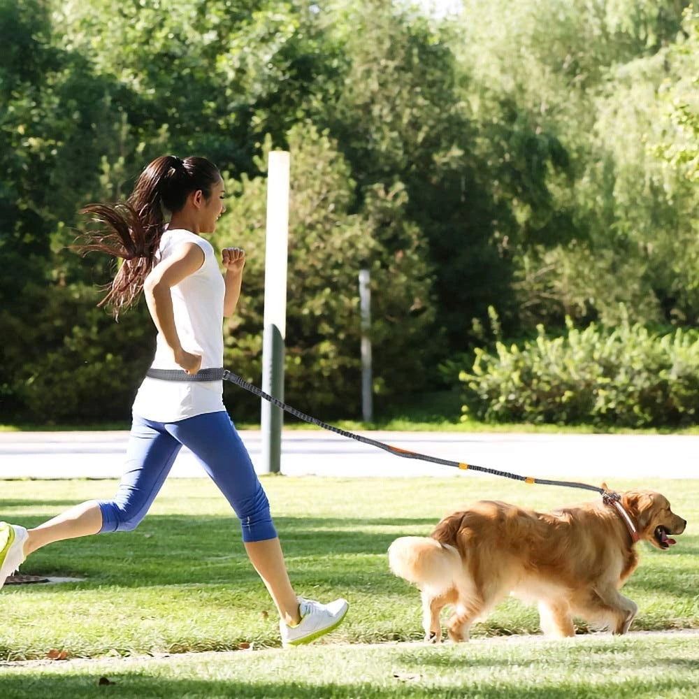 Adjustable Pet Harness Collar Jogging Control Leash