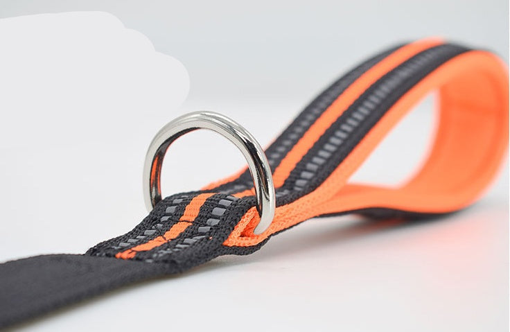 Nylon Pet Retractable Assisted Control Leash
