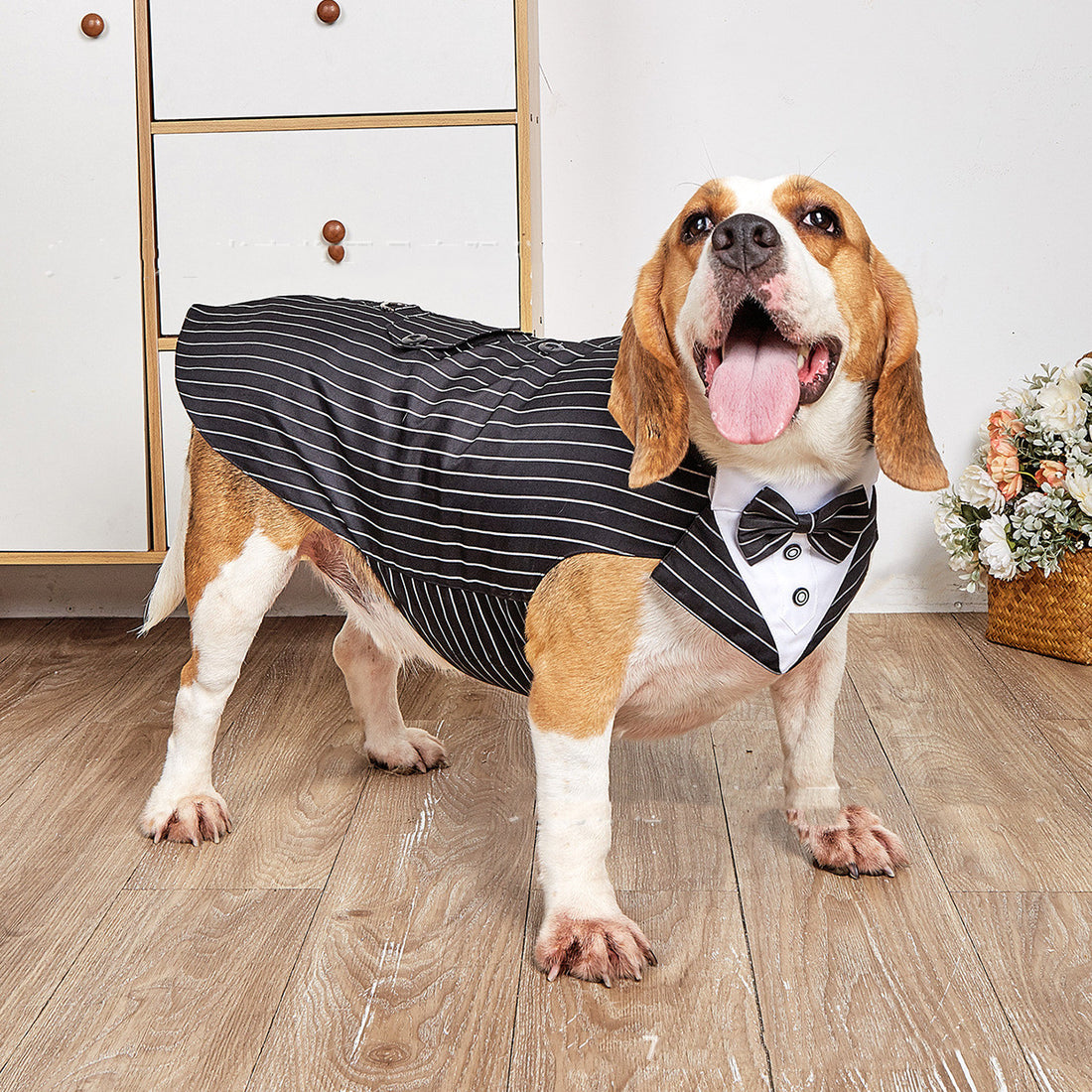Swallowtail Wedding Suit Jacket Formal Pet Clothing