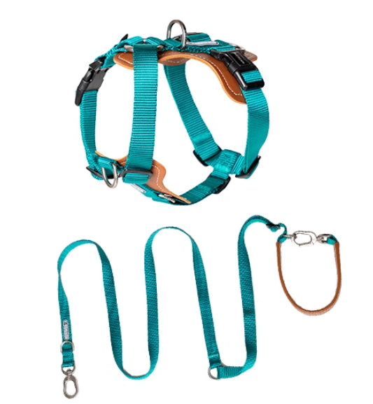 Multifunctional Pet Rope Leash Chest Strap Control Set