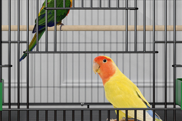 Home Fashion Personality Double Layer New Bird Cage
