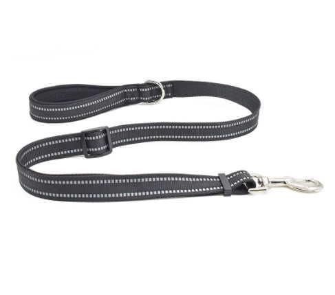Nylon Pet Retractable Assisted Control Leash