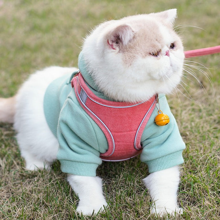 Vest Type Pet Chest Harness With Control Leash