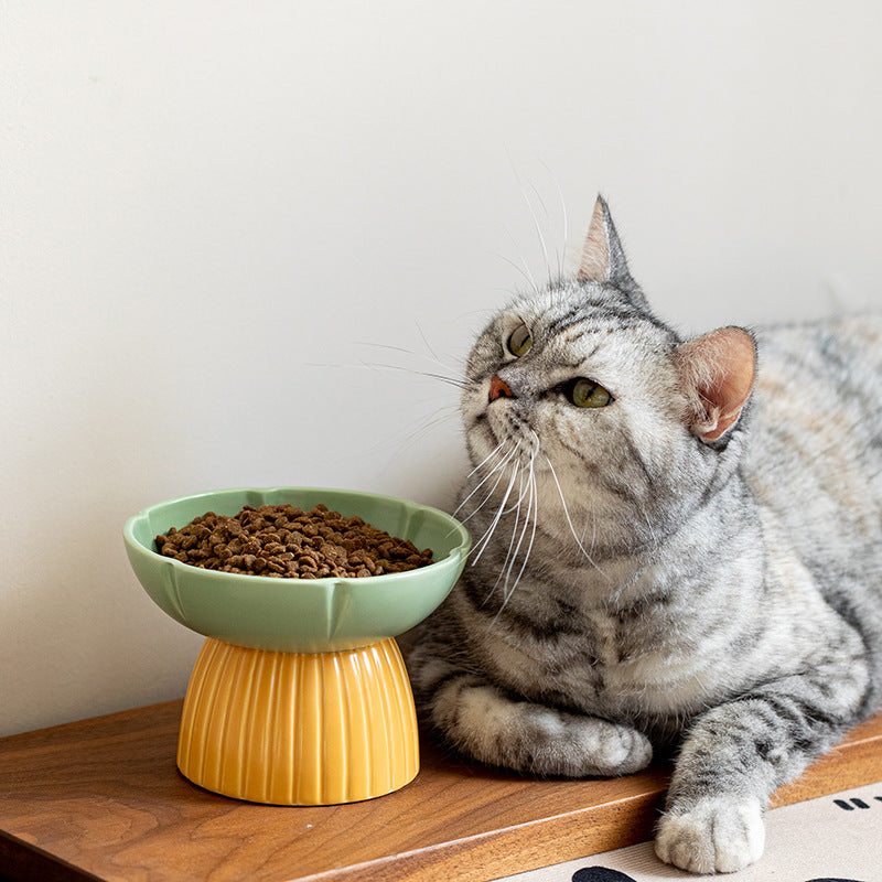 Macaron Color Pet Ceramic Feeding Bowl Set