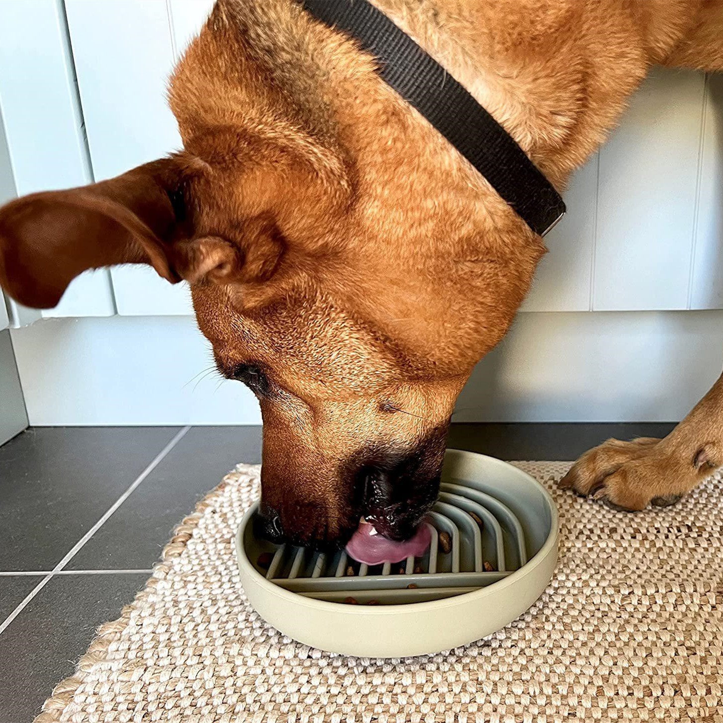 Simple Fashion Pet Slow Feeding Bowl Anti Gulp Design