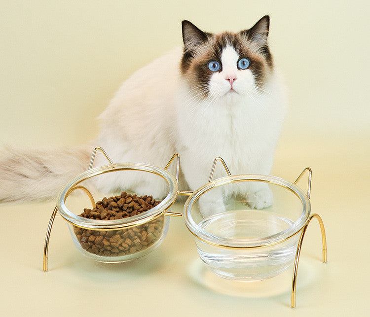 Pet Glass Feeding Bowl With Metal Rack Accessories