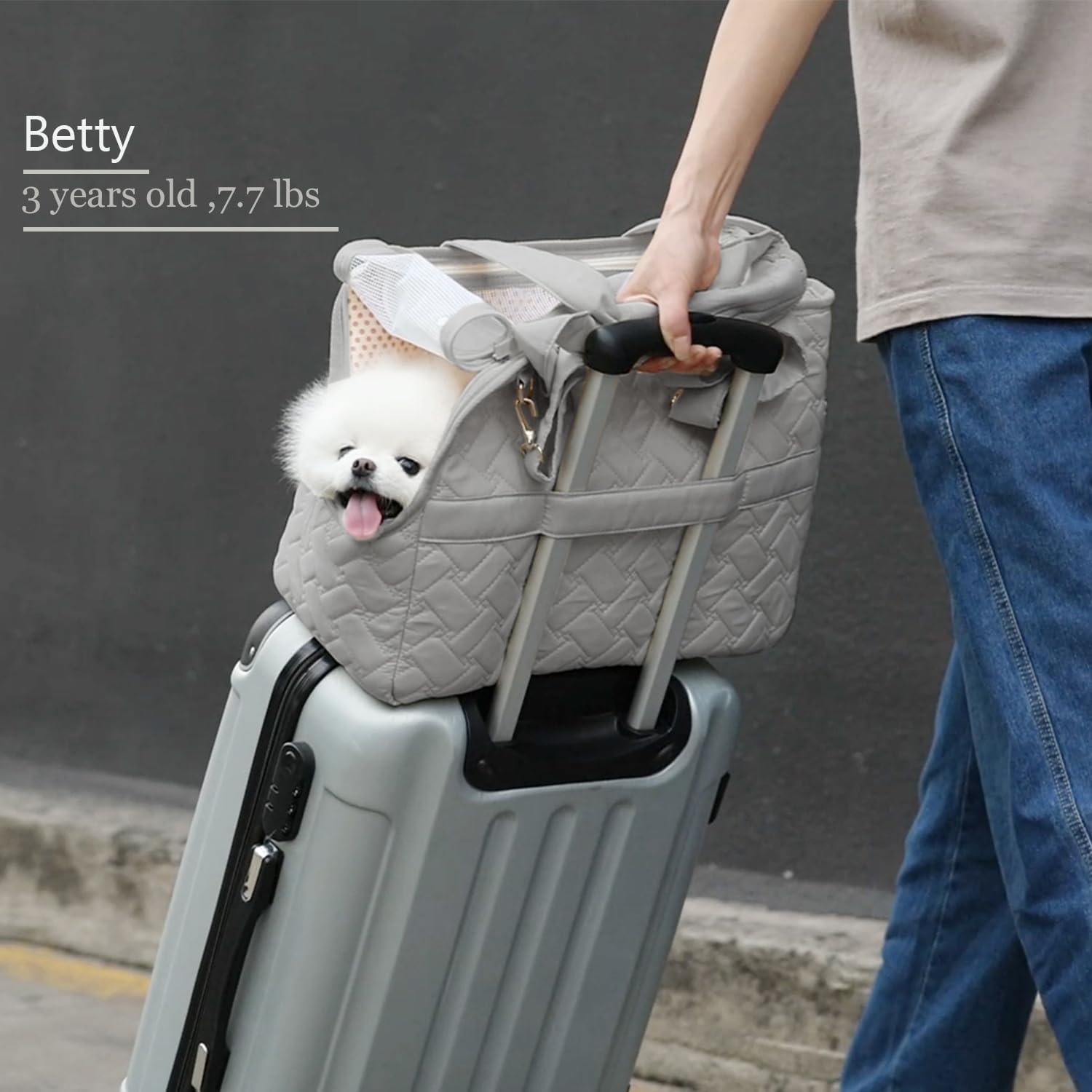 Breathable Pet Carrier Handbag Multi Pocket Travel Tote