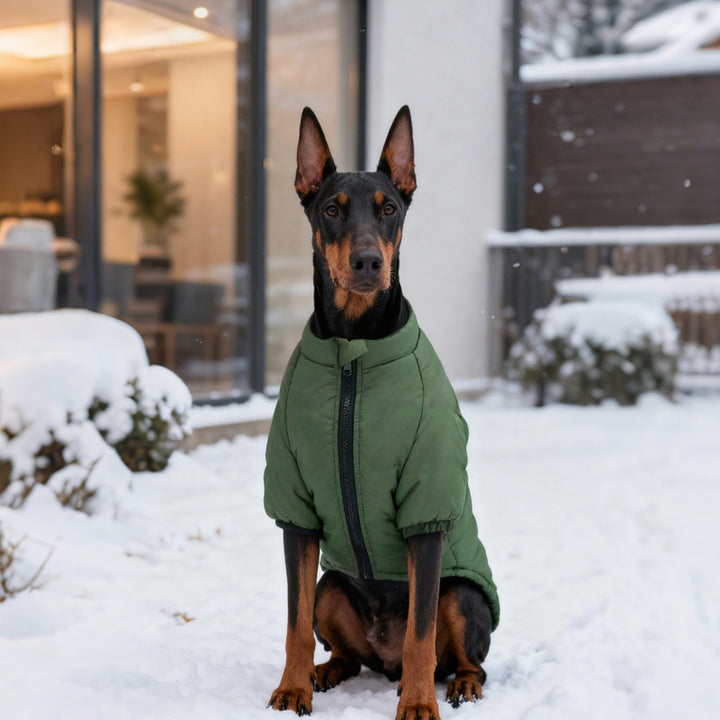Cotton Two Leg Pet Jacket Comfortable Warm Clothing